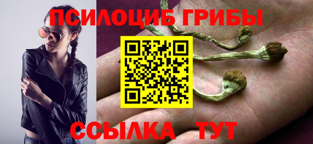 Псилоцибиновые грибы Psilocybine cubensis Рязань